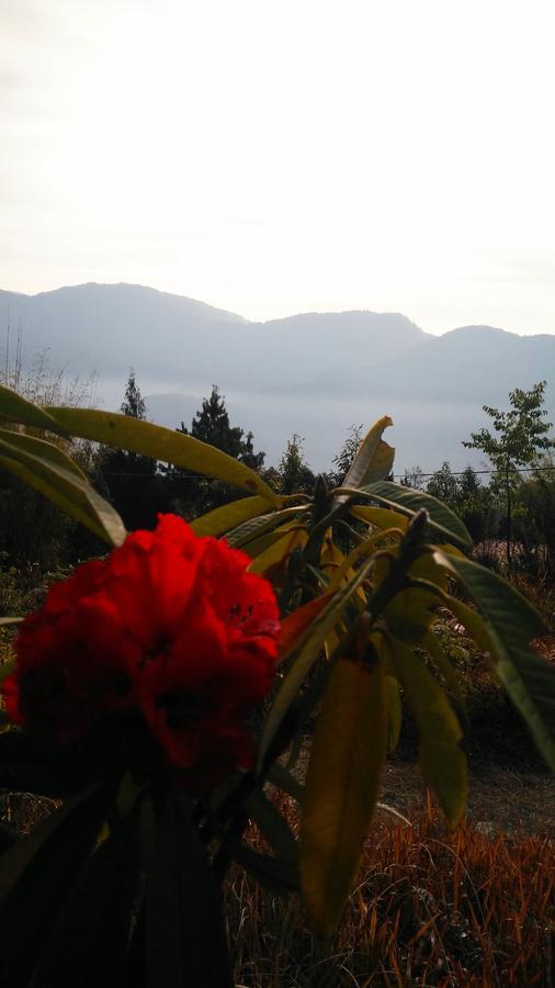 Neora Valley Retreat Hotel Rishop Екстериор снимка